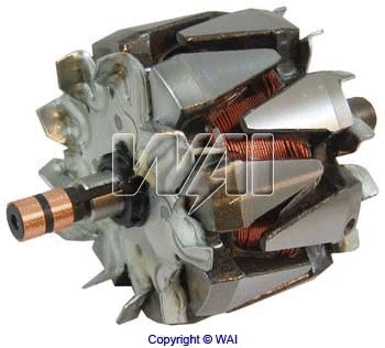 Rotor, alternator (28-9115)