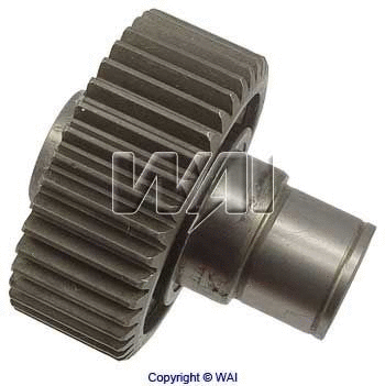 Freewheel Gear, starter