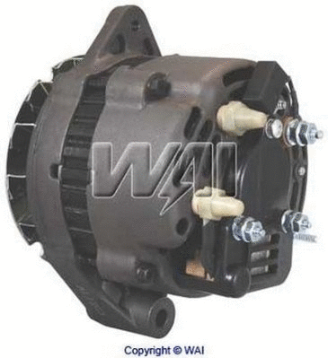 Alternator (12177N)