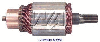 Armature, starter (61-8312)