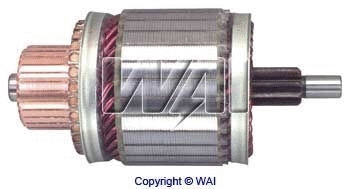 Armature, starter (61-8318)