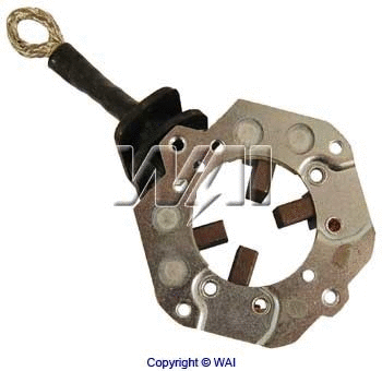 Holder, carbon brushes