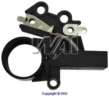 Holder, carbon brushes