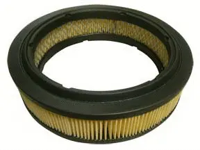 Air Filter (A-22420)