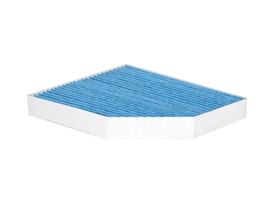 Filter, cabin air (CAB-31070)