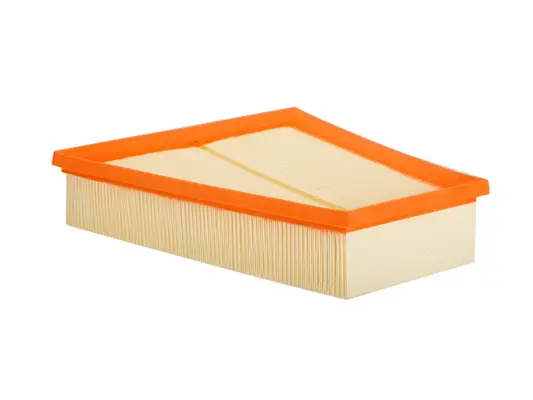 Air Filter (A-31830)