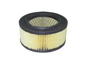 Air Filter (A-31120)