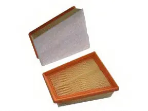 Air Filter (A-25440)