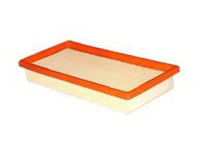 Air Filter (A-2807)