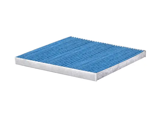 Filter, cabin air (CAB-29080)
