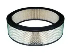 Air Filter (A-6510)