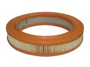 Air Filter (A-6813)
