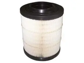 Air Filter (A-19800)