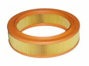 Air Filter (A-2918)