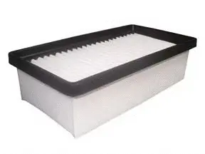 Air Filter (A-25420)