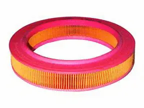 Air Filter (A-2517)