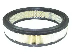 Air Filter (A-65500)