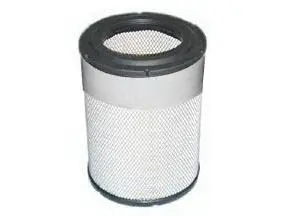 Air Filter (AS-8579)
