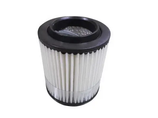 Air Filter (A-31900)