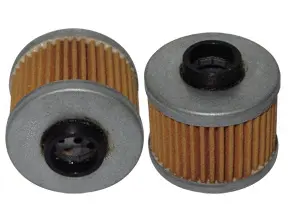 Oil Filter (O-21030)