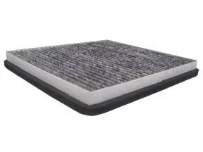 Filter, cabin air (CAC-65220)