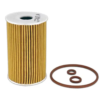 Oil Filter (EO-31110)