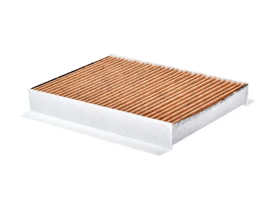 Filter, cabin air (CAV-22090)