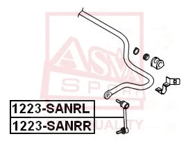 Link/Coupling Rod, stabiliser bar (1223-SANRR)