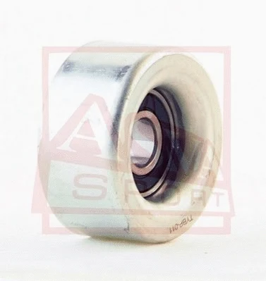 Tensioner Pulley, V-belt (TYBP-011)