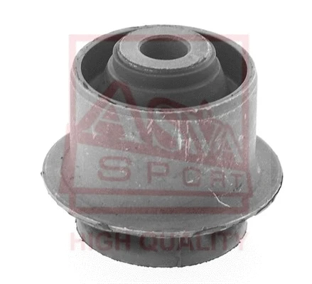 Mounting, control/trailing arm