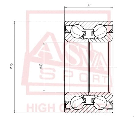 Wheel Bearing (DAC40750037)