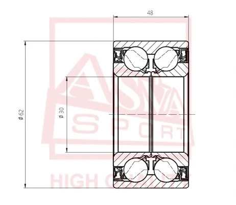 Wheel Bearing (DAC30620048)