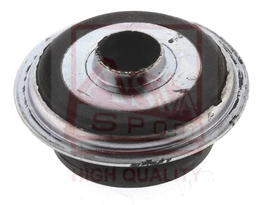 Mounting, control/trailing arm