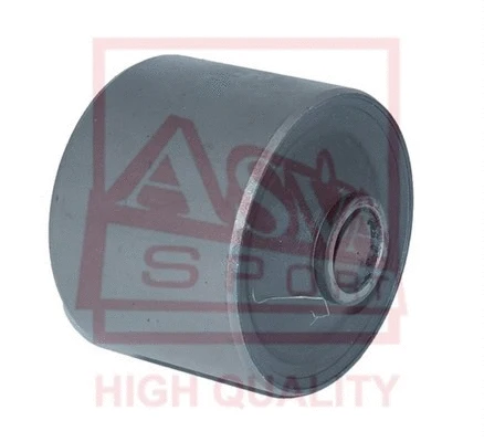 Mounting, control/trailing arm