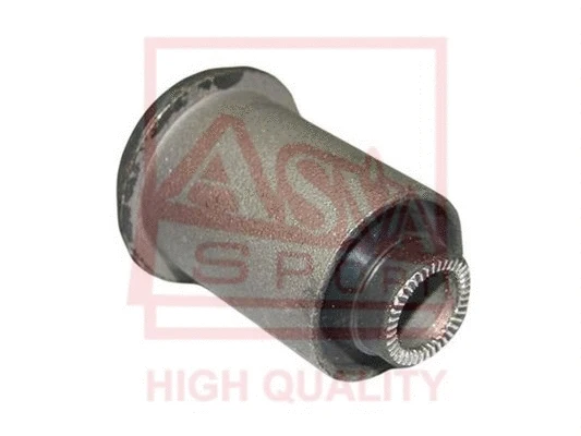 Mounting, control/trailing arm