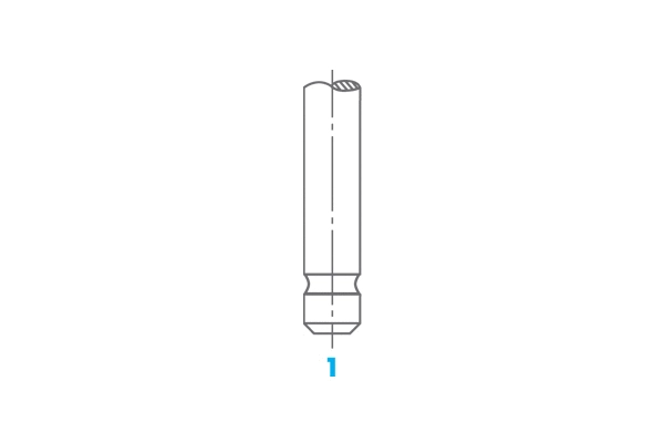 Intake Valve (0811)