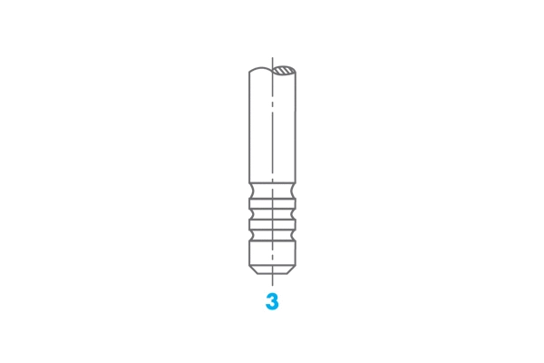 Exhaust Valve (1576)