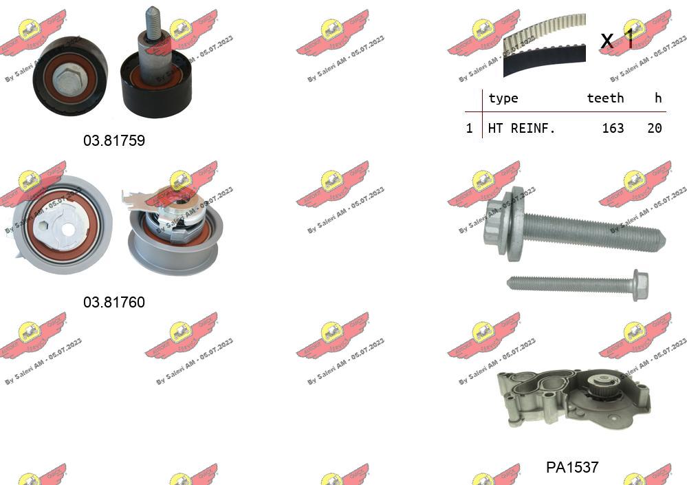 Water Pump & Timing Belt Kit (04.5363PA)