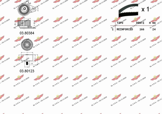 Timing Belt Kit