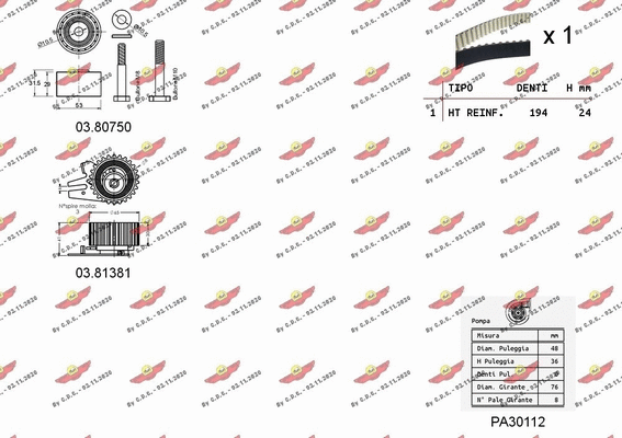 Water Pump & Timing Belt Kit