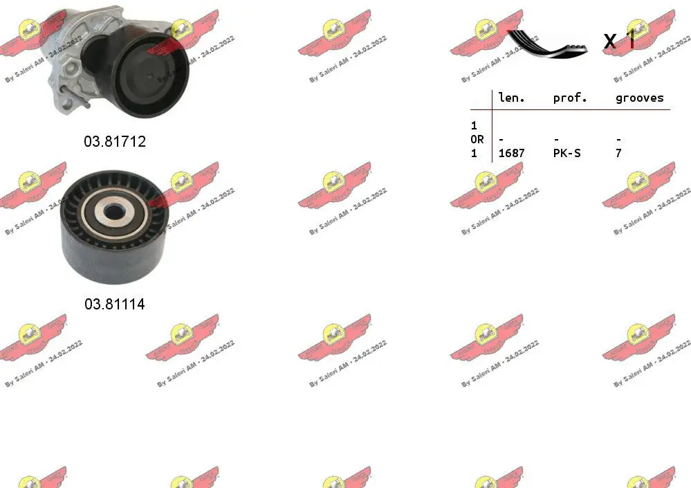 V-Ribbed Belt Set (06.0133)