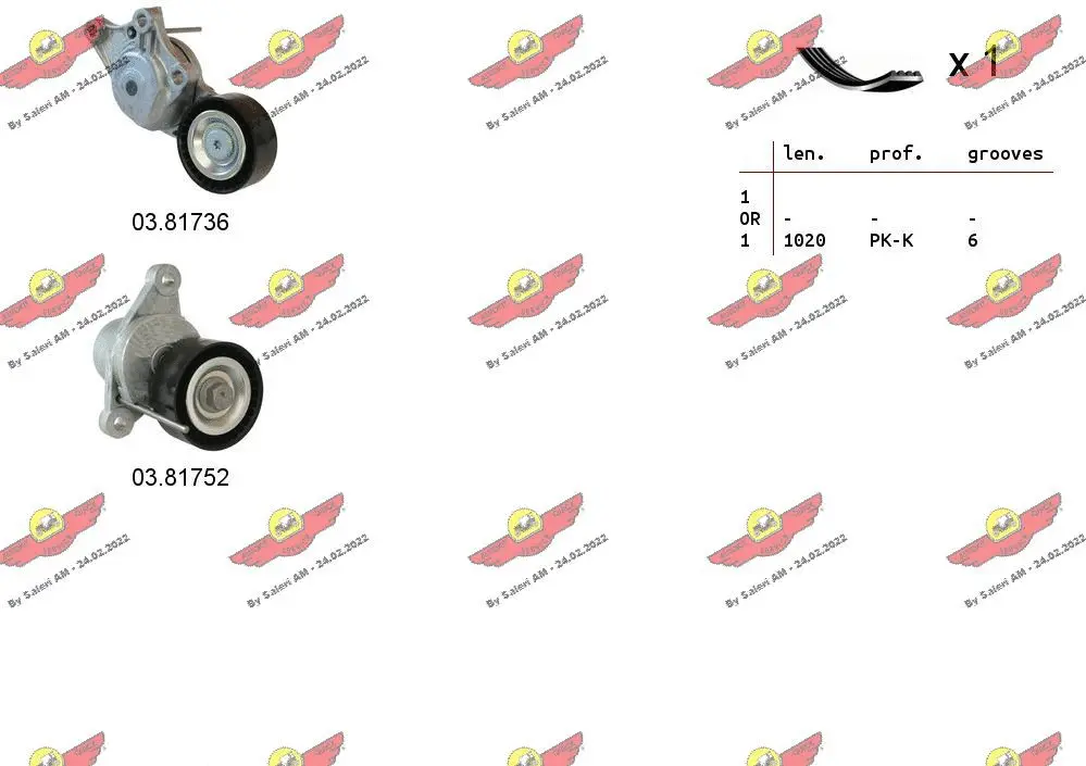 V-Ribbed Belt Set (06.0135)