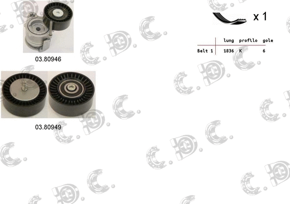 V-Ribbed Belt Set (06.0042)