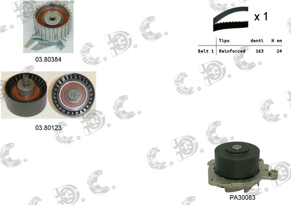 Water Pump & Timing Belt Kit (04.5096PA)