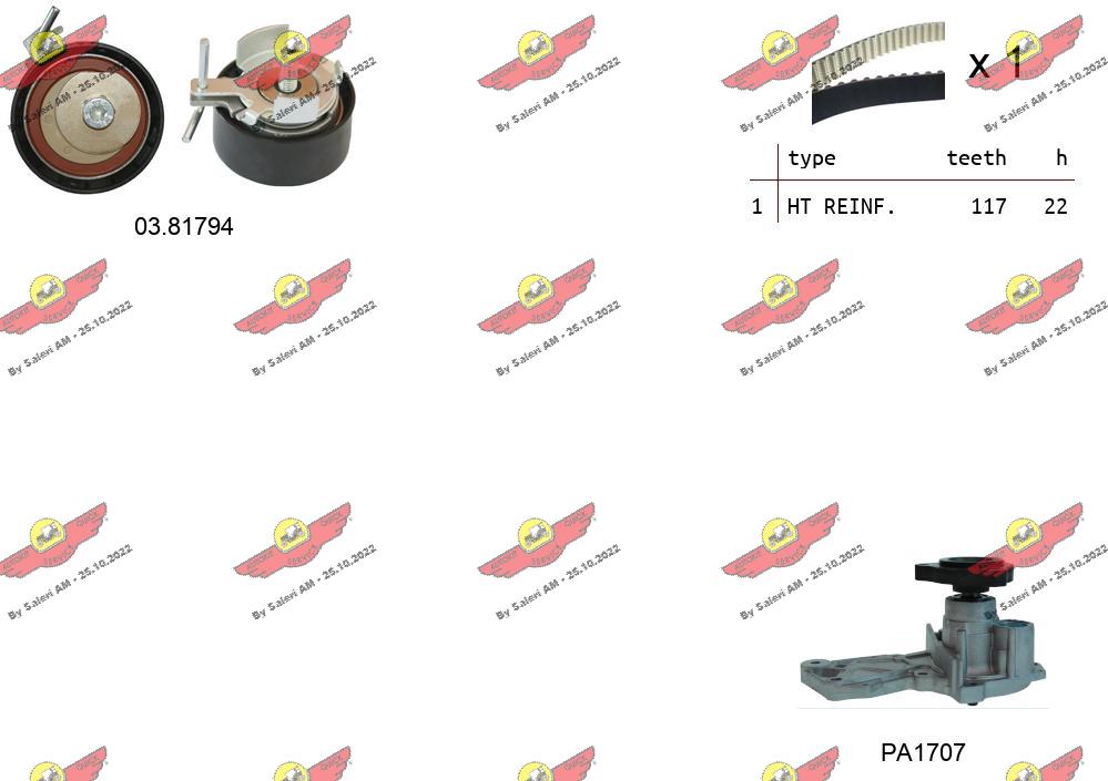 Water Pump & Timing Belt Kit (04.5353PA2)