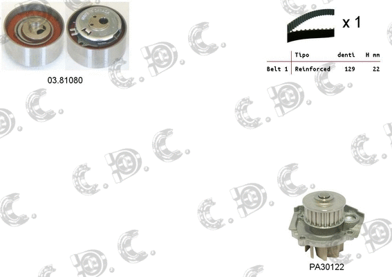 Water Pump & Timing Belt Kit (04.5251PA2)