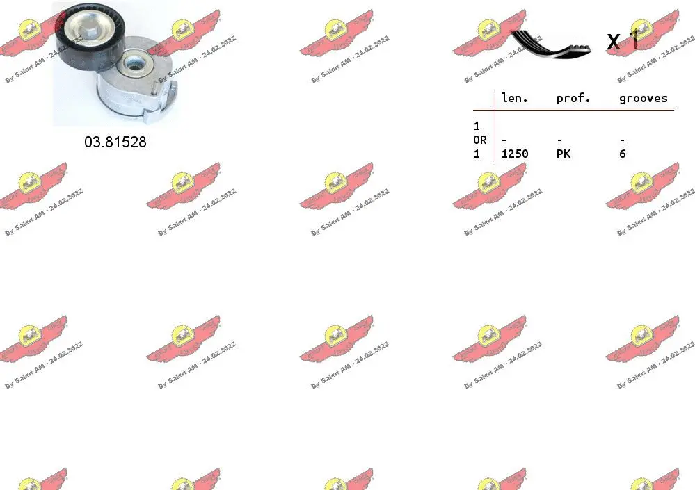 V-Ribbed Belt Set (06.0137)