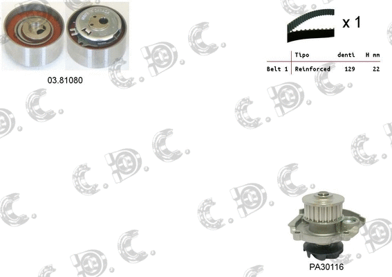 Water Pump & Timing Belt Kit (04.5251PA)