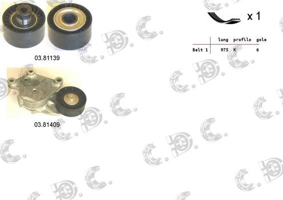 V-Ribbed Belt Set (06.0131)
