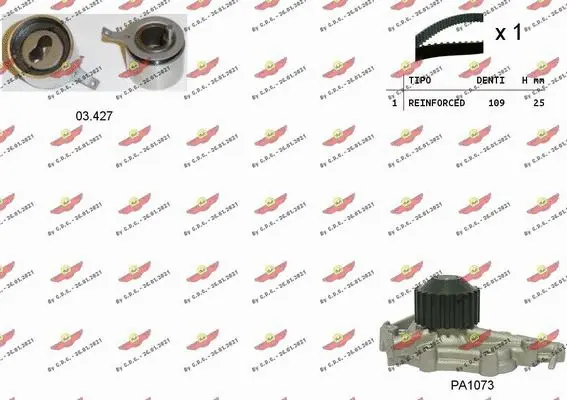Water Pump & Timing Belt Kit (04.5310PA)